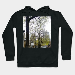 Spring Arrives Hoodie